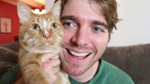 Shane Dawson does nasty things to Cheeto-his Cat ? Listen to his podcast.